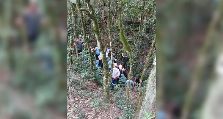 Confira a série de registros da saída de campo.