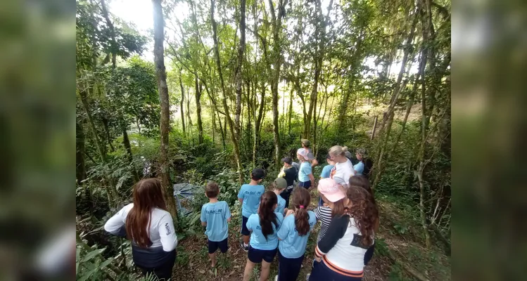 Confira a série de registros da saída de campo.