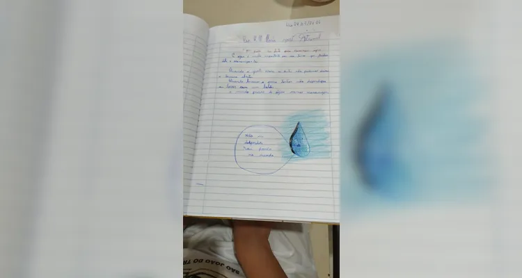 Veja a série de registros do amplo trabalho.