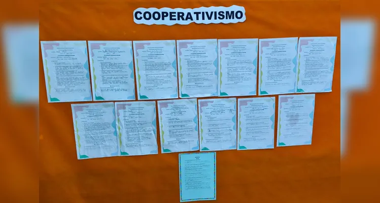 Confira a série de registros do amplo trabalho.