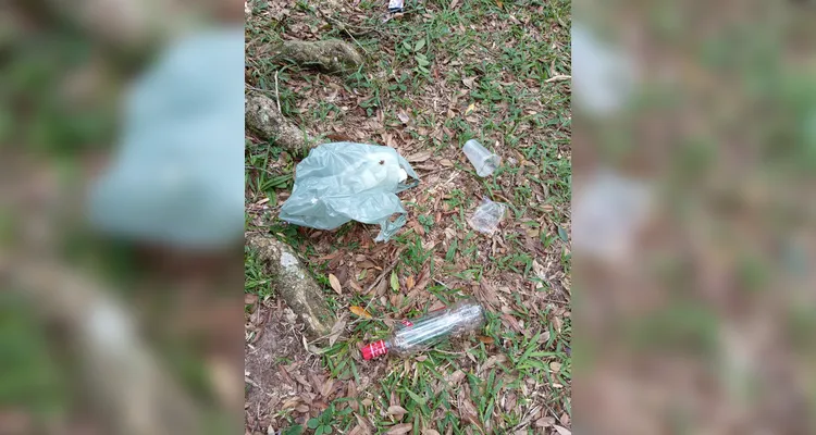 Confira a série de registros do amplo trabalho realizado.