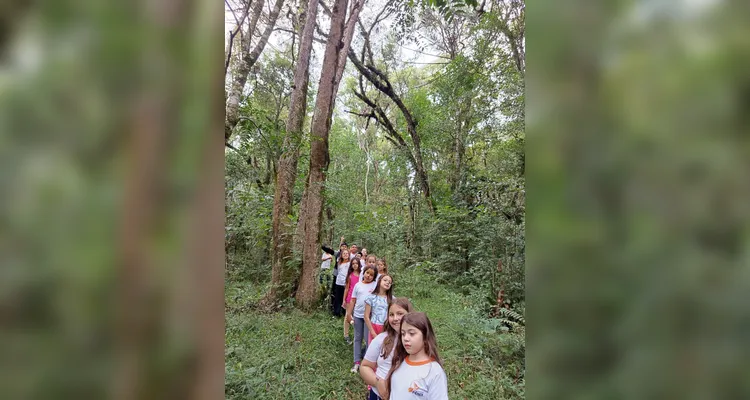 Confira a série de registros do amplo trabalho realizado.