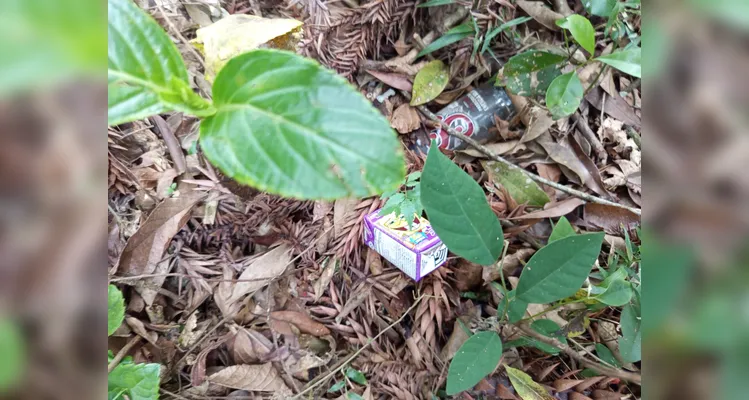 Confira a série de registros do amplo trabalho realizado.