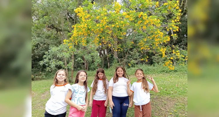 Confira a série de registros do amplo trabalho realizado.