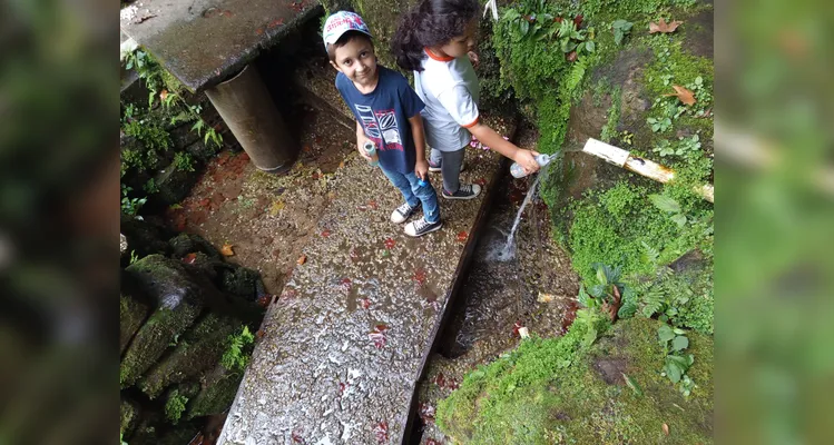 Confira a série de registros do amplo trabalho realizado.