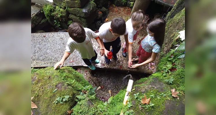 Confira a série de registros do amplo trabalho realizado.