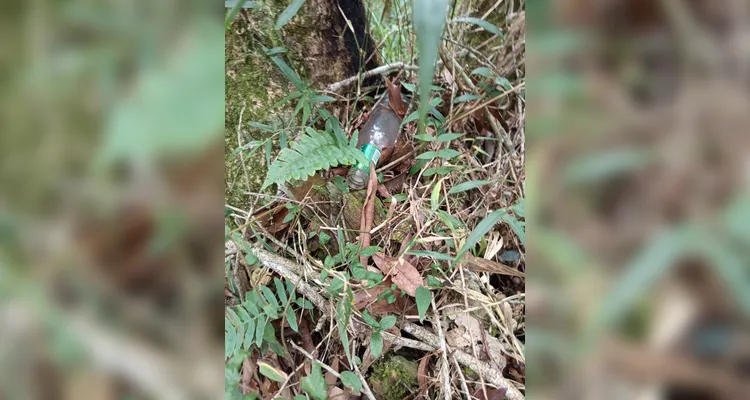 Confira a série de registros do amplo trabalho realizado.