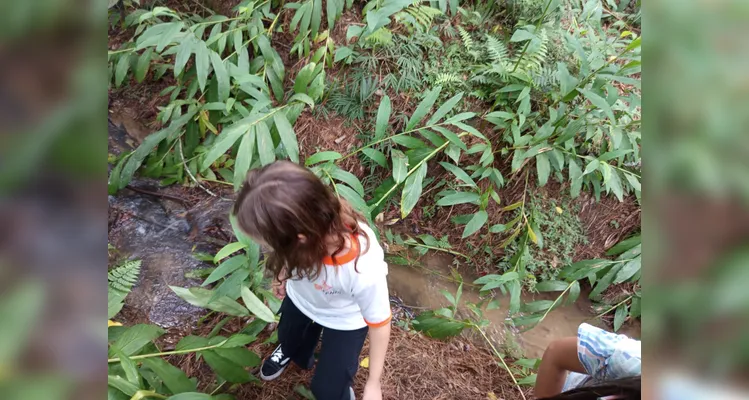 Confira a série de registros do amplo trabalho realizado.