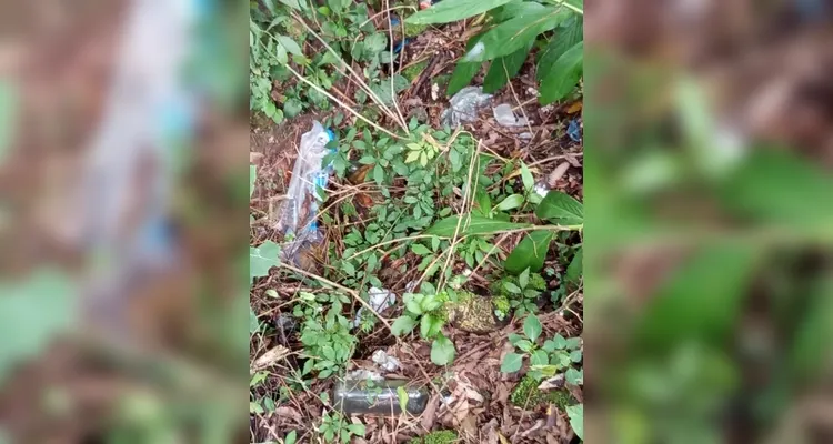 Confira a série de registros do amplo trabalho realizado.