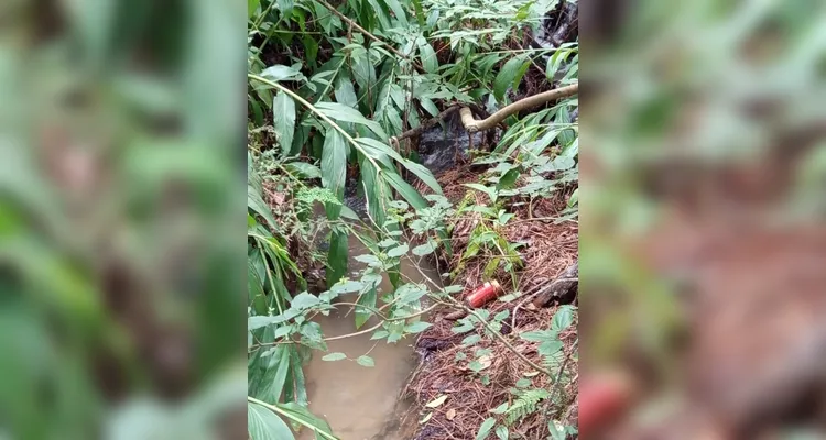 Confira a série de registros do amplo trabalho realizado.