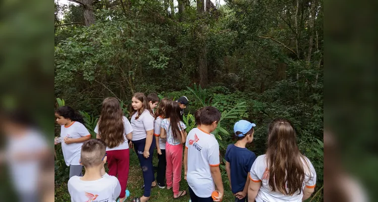 Confira a série de registros do amplo trabalho realizado.