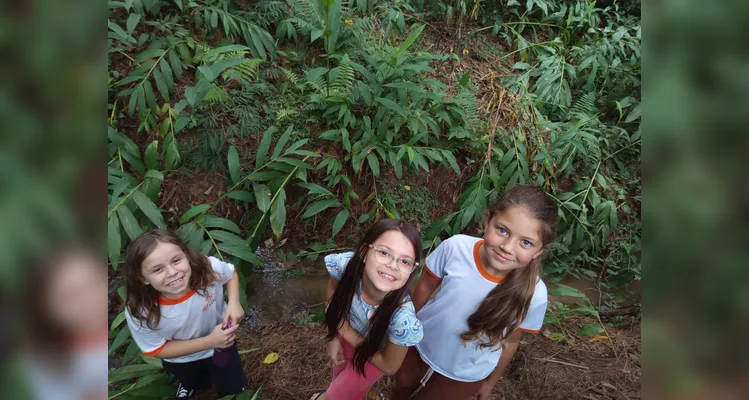 Confira a série de registros do amplo trabalho realizado.