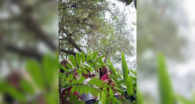 Confira a série de registros do amplo trabalho realizado.