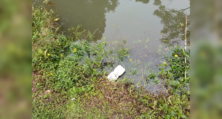 Confira a série de registros do amplo trabalho realizado.