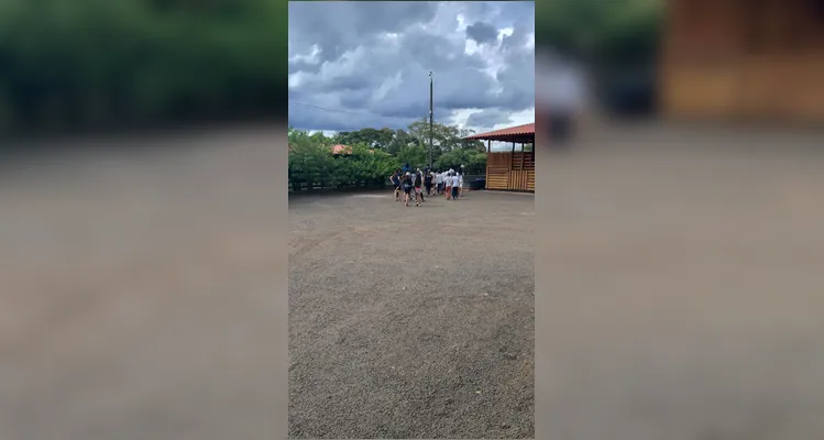 Confira as fotos do diversificado trabalho.