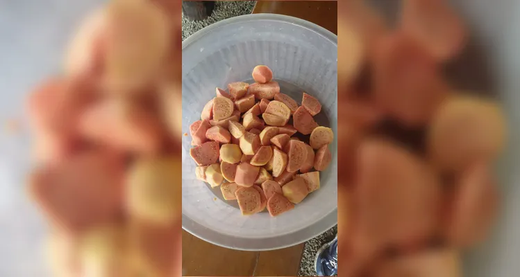 Confira as fotos do diversificado trabalho.