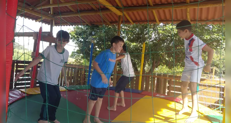 Confira as fotos do diversificado trabalho.