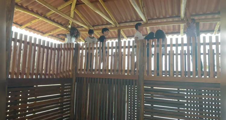 Confira as fotos do diversificado trabalho.