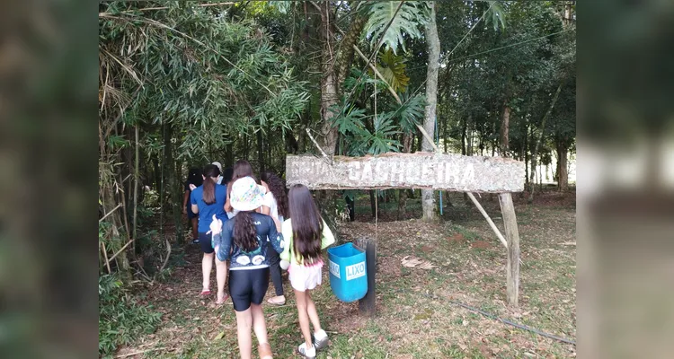 Confira as fotos do diversificado trabalho.