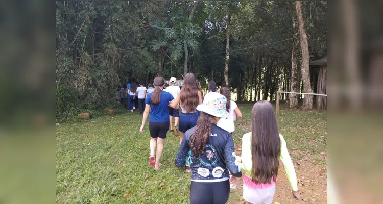 Confira as fotos do diversificado trabalho.