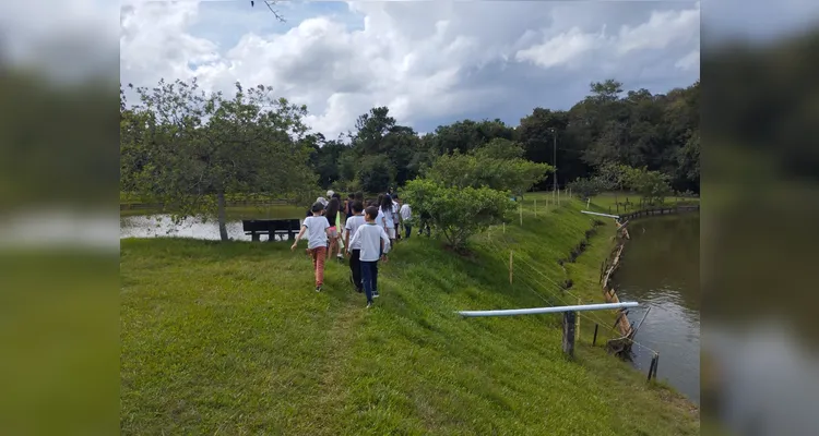 Confira as fotos do diversificado trabalho.