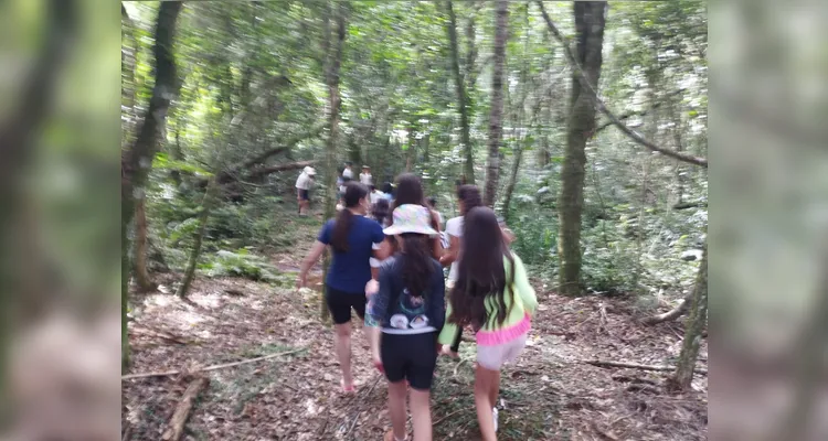 Confira as fotos do diversificado trabalho.