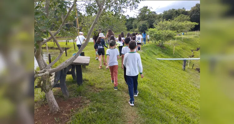 Confira as fotos do diversificado trabalho.