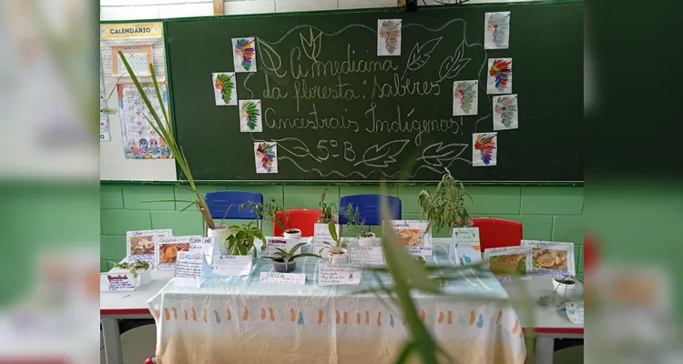 Confira a série de registros do amplo trabalho em sala de aula.