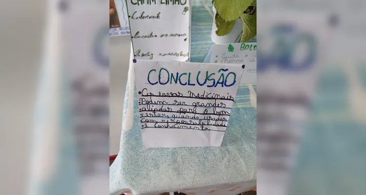 Confira a série de registros do amplo trabalho em sala de aula.