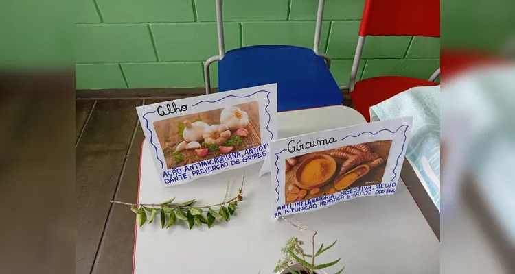 Confira a série de registros do amplo trabalho em sala de aula.