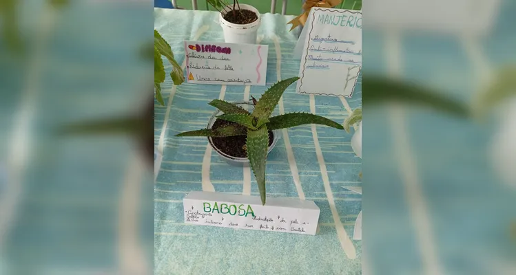 Confira a série de registros do amplo trabalho em sala de aula.