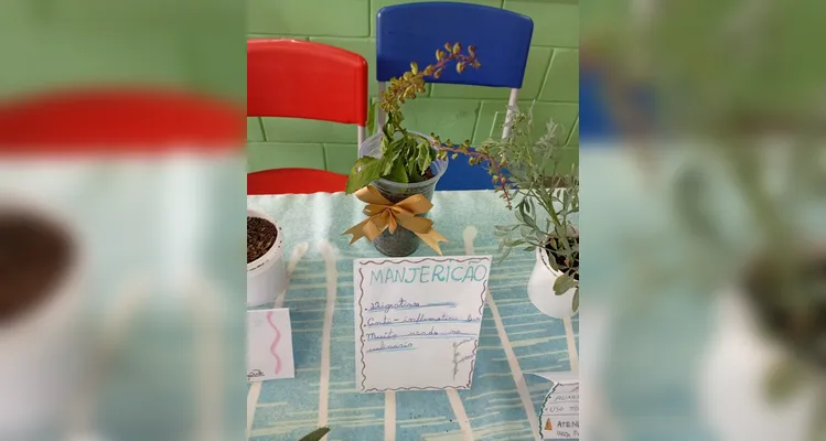 Confira a série de registros do amplo trabalho em sala de aula.