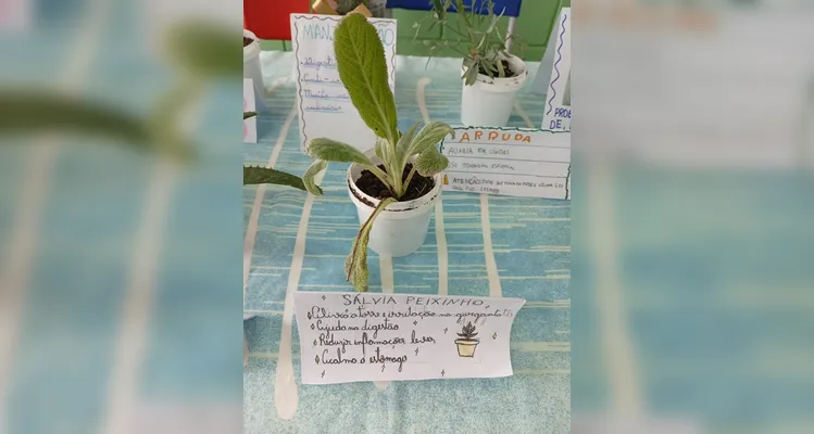 Confira a série de registros do amplo trabalho em sala de aula.