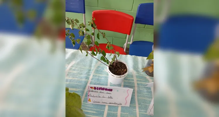 Confira a série de registros do amplo trabalho em sala de aula.