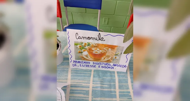 Confira a série de registros do amplo trabalho em sala de aula.