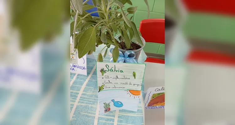 Confira a série de registros do amplo trabalho em sala de aula.