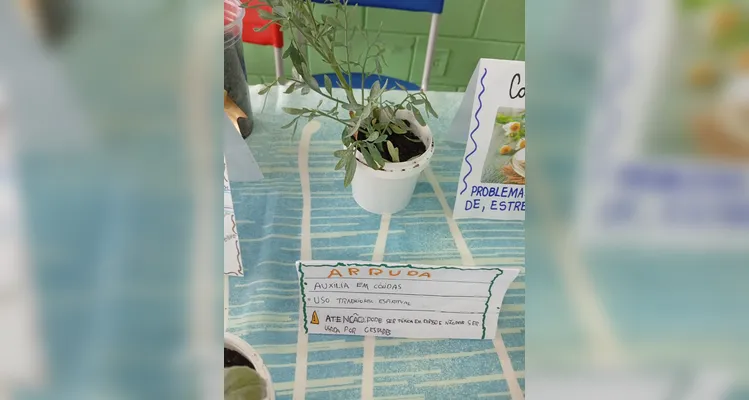 Confira a série de registros do amplo trabalho em sala de aula.