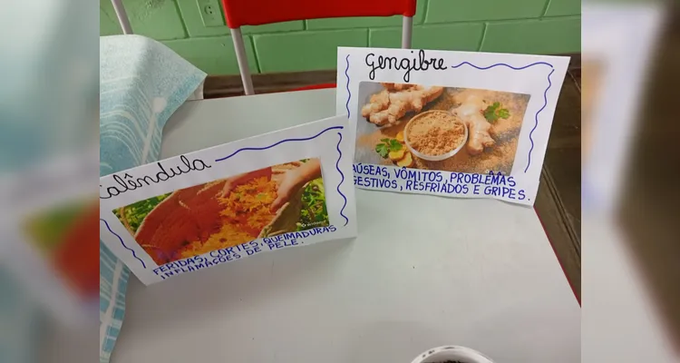 Confira a série de registros do amplo trabalho em sala de aula.