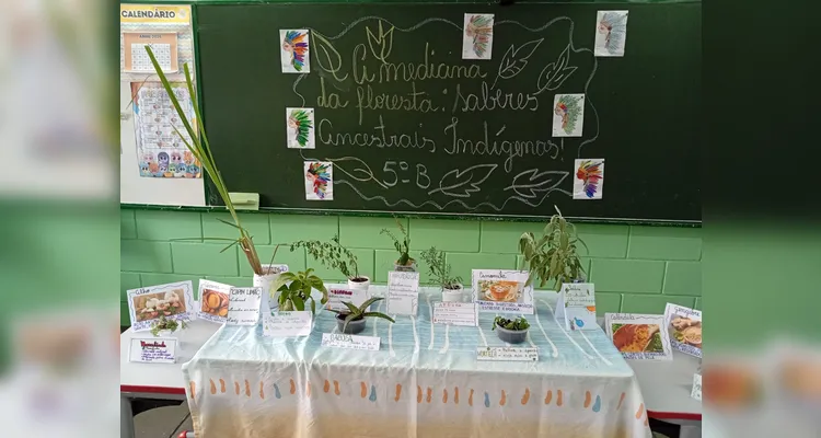 Confira a série de registros do amplo trabalho em sala de aula.