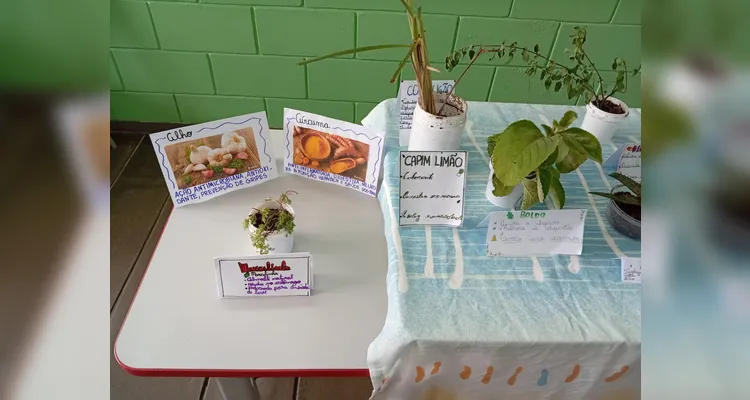 Confira a série de registros do amplo trabalho em sala de aula.