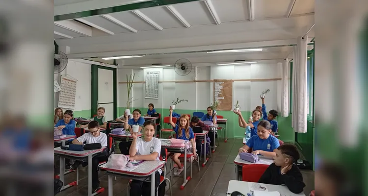 Confira a série de registros do amplo trabalho em sala de aula.