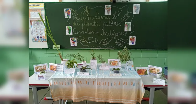 Confira a série de registros do amplo trabalho em sala de aula.