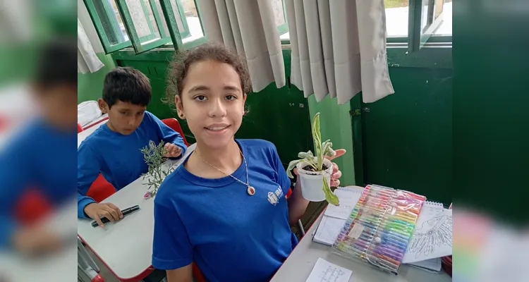 Confira a série de registros do amplo trabalho em sala de aula.