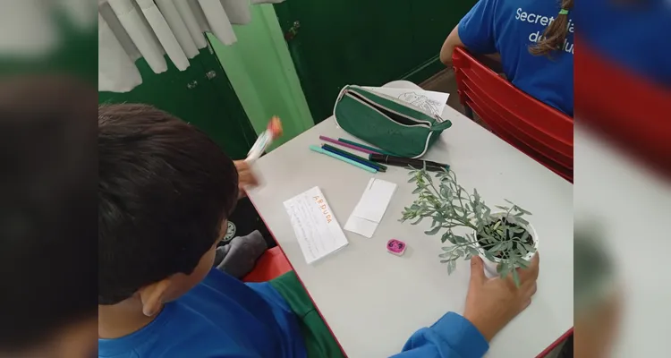 Confira a série de registros do amplo trabalho em sala de aula.