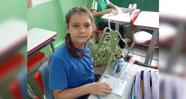 Confira a série de registros do amplo trabalho em sala de aula.