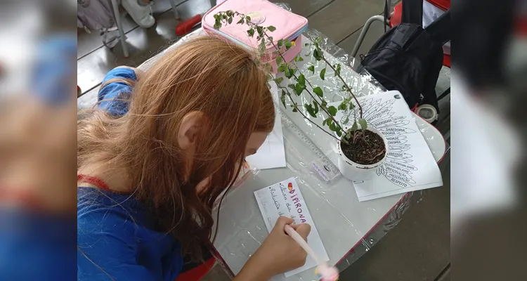 Confira a série de registros do amplo trabalho em sala de aula.