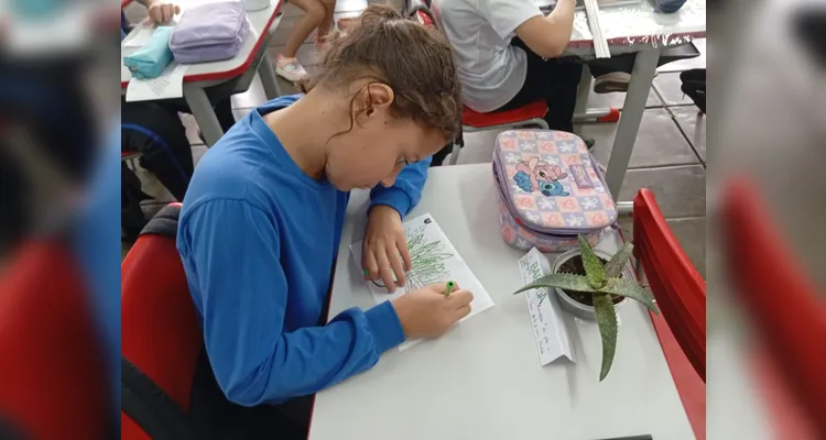 Confira a série de registros do amplo trabalho em sala de aula.