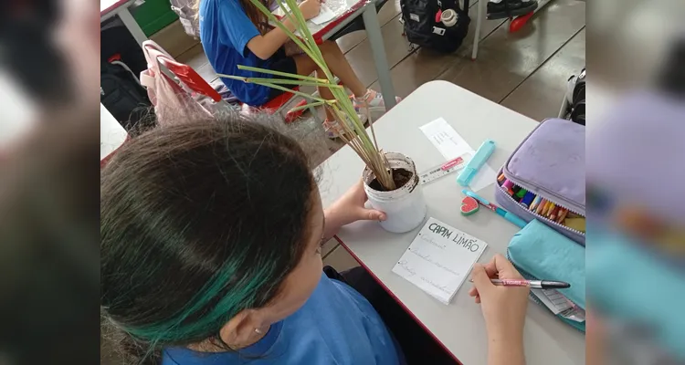 Confira a série de registros do amplo trabalho em sala de aula.