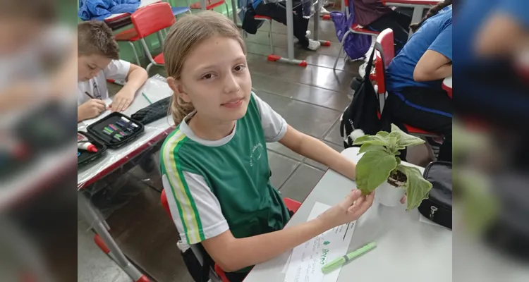 Confira a série de registros do amplo trabalho em sala de aula.