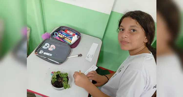 Confira a série de registros do amplo trabalho em sala de aula.